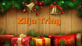 Zilja Tring  Instrumentale [upl. by Nostaw]