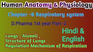 Part of Respiratory system  Lungs  Alveoli  Regulation Mechanism of Respiration  D Pharma 💥📖 [upl. by Anier]