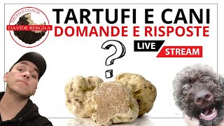 TARTUFI E CANI DA TARTUFO  Domande e Risposte [upl. by Carmela]