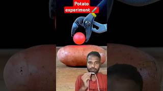 Potato experiment potatoexperiment art satisfying ytshorts science experiment shorts [upl. by Neerihs]