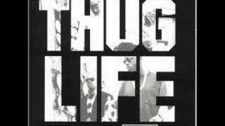 2Pac  Thug Life  Cradle To The Grave 09 [upl. by Anicart]