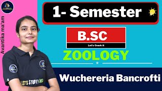 Wuchereria Bancrofti  BSc Zoology 1st Semester  Avantika Maam [upl. by Glynis]