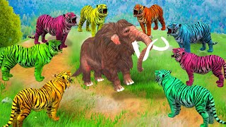 Five Giant Tigers Vs Big Bulls Fight Attack Cow Cartoon Saved by Woolly Mammoth Elephant [upl. by Htennaj745]