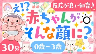 【赤ちゃんが喜ぶ音楽】え！？赤ちゃんがそんな顔に？│0歳1歳2歳3歳│赤ちゃんが泣き止む 乳児・幼児向け知育アニメ 笑う 喜ぶ 寝る 子供の歌 ソポアートパーク公式【知育】 [upl. by Dorrej]