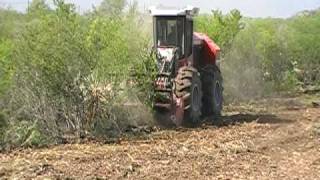 South Texas Brush Clearing [upl. by Noby]