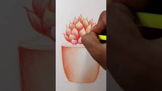 quotStepbyStep Fuldani Flower Drawing for Beginnersquot [upl. by Durant781]