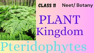 NEET PLANT KINGDOM UNCOVER THE KNOWLEDGE OF PTERIDOPHYTES CLASS11 neet plantsphysicswallah [upl. by Lejna]