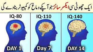 How to Increase Brain Power  IQ Level Kaise Increase kare  Dimaag kaise tez kare [upl. by Mallon557]