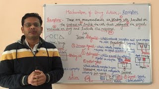 Receptor Pharmacology Part 01  Agonist  Inverse Agonist  Antagonist  Partial Agonist [upl. by Enimzaj]