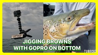 JIGGING BROWN TROUT  Lake Ontario  Late August [upl. by Rma]