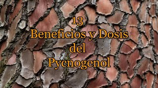 13 Beneficios y Dosis del Pycnogenol [upl. by Haroppiz]