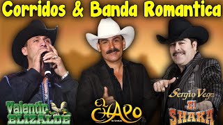 Valentin Elizalde y Sergio Vega amp El Chapo De Sinaloa  Corridos amp Banda Romanticas Mix Para Pistear [upl. by Trik]