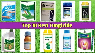 Top 10 Best Fungicide [upl. by Ordnagela824]