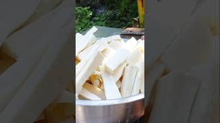 Making Yuca Fries with Fresh Cassava Root organic roots farmer harvesting [upl. by Aryc985]