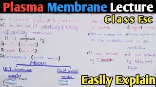 Plasma Membrane Structure And Functions  Fluid Mosaic Model  Class 11 Biology [upl. by Horner462]