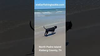 Fishing On North Padre Island In Kleberg County Texas fishing northpadreisland doglover [upl. by Uttasta764]