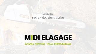 Entreprise délagage à Cuers 83  MIDI ELAGAGE [upl. by Htebsle]