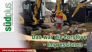 Eindrücke von der FORST live Offenburg [upl. by Gaves445]