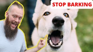 How to Train Your Dog to STOP BARKING at EVERYTHING [upl. by Gahan]