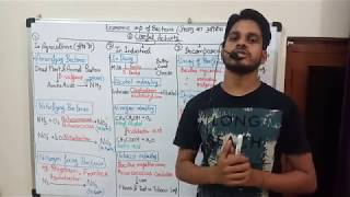 Economic importance of Bacteria hindi amp english [upl. by Orravan]