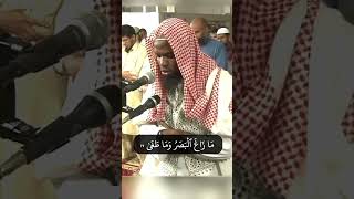 Sheikh Okasha Kameny Surah Najm Ayah 1723 [upl. by Doralin]