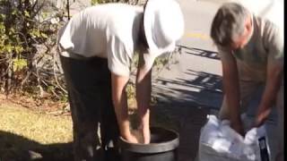 Coping with Surfacing Roots in the Landscape  Prune Like a Pro [upl. by Neret399]