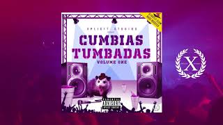 Cumbias Tumbadas Vol1 30min Wepa Mix [upl. by Terrab]