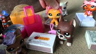 LPS  quotZakręceniquot 8 Littlest Pet Shop [upl. by Azalea]