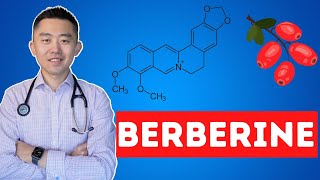 The Truth About Berberine  What you need to know [upl. by Ettesus]