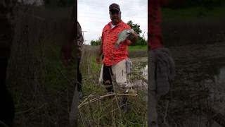 Gigante crappiefishing crappie crafishing fish fishingvideo fishinglife fishingtips fypシ [upl. by Oalsinatse372]