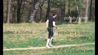 Nordic walking Severská chůze  představení amp správná technika [upl. by Arait]