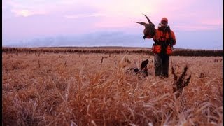 Pheasants Forever A Call to Action [upl. by Poppas434]