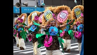 Asakusa Samba Carnival 2019  Samba Dancing in Tokyo [upl. by Cira479]