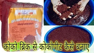 कोको ब्रिक से कोकोपीट बनाने की संपूर्ण जानकारी  कोकोपीट का उपयोग कैसे करें cocopeat use for plants [upl. by Labors730]