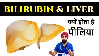 Understand Bilirubin Jaundice amp Liver Disease  DrEducation Hindi Eng [upl. by Austen29]