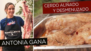 Cerdo Aliñado y Desmenuzado  PARRILLEROS  Como hacer Cerdo a la Parrilla [upl. by Eugor]