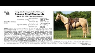 Pitzer Ranch Fall Sale 2024 Lot 249 BARONS REAL DIAMONDZ [upl. by Rossner]