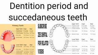 Dentition period and succedaneous teeth  zee dental  short notes [upl. by Erik]