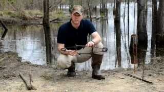 Beaver Trapping  Conibear Basics [upl. by Ragse617]