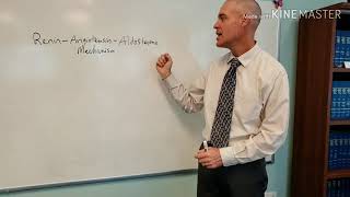 The Renin  Angiotensin  Aldosterone Mechanism [upl. by Notned]