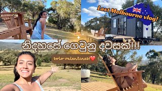 නිදහසේ ගෙවුනු දවසක්❤️ solo valentines  last Melbourne vlog  මං මාව සැමරුවා  shanudrie vlogs [upl. by Aciria]