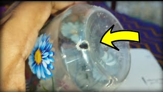 Top 5 Useful Life Hacks Homemade New Ideas Tips  Amazing Hacks Trick and Tips [upl. by Renita]