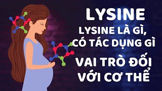 Lysine lysine là gì có tác dụng gì [upl. by Aipotu644]