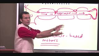 Axonal transport and transmission Whats the onward vs opposite direction for axonal conduction [upl. by Radloff606]