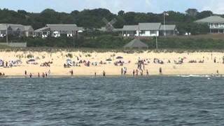 Beachgoers save stranded great white shark [upl. by Cowen]