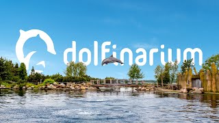 Dolfinarium ☀️🐬 [upl. by Adnert]