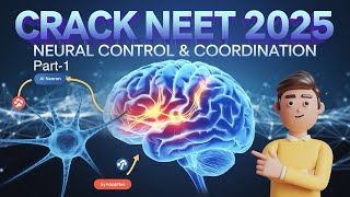 “Crack NEET 2025 Neural Control amp Coordination  Nervous System amp Impulse Conduction” [upl. by Stelmach529]