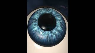 Human Eye cataract surgery 7 [upl. by Ednalrym]