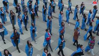 9 Vjetori i Pavarësisë së Kosovës Mehmet Akif College  Flash Mob [upl. by Elwina]