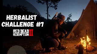 Herbalist Challenge 7 Guide  Red Dead Redemption 2 [upl. by Notsahc]